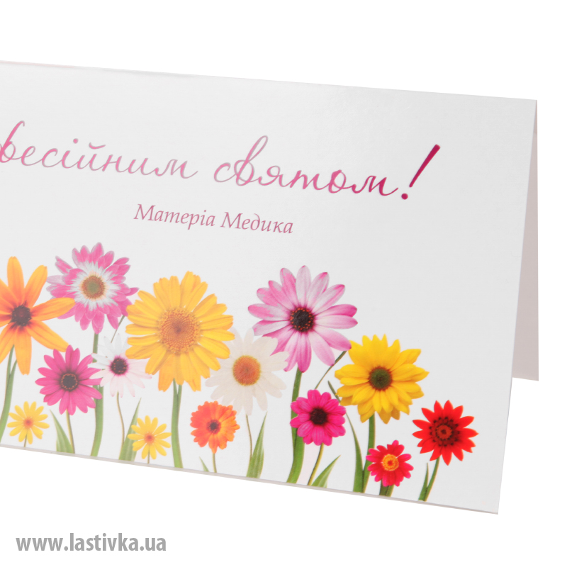 фото номер 1 N8053, Листівки smtp01.lastivka.ua